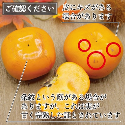 【2026年10下旬～11月下旬発送】ブランド柿「秋王」約3.5kg(岡垣町)【配送不可地域：離島】