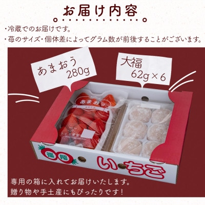 【先行受付】あまおう大福セット(冷蔵)(岡垣町)【配送不可地域：離島】