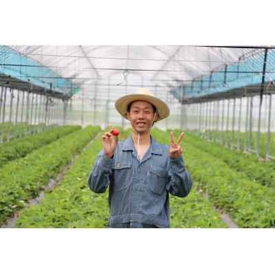 福岡県産【あまおうグランデサイズ】3玉～15玉(6パック)【1月より順次発送】(岡垣町)【配送不可地域：離島】