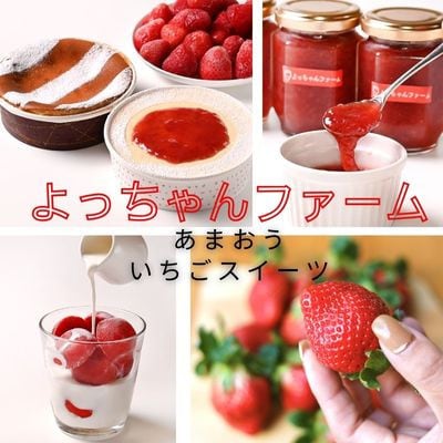 【2025年1月より順次発送予定】いちご満喫 あまおう2パック＆あまおうジャム2瓶のセット(岡垣町)【配送不可地域：離島】