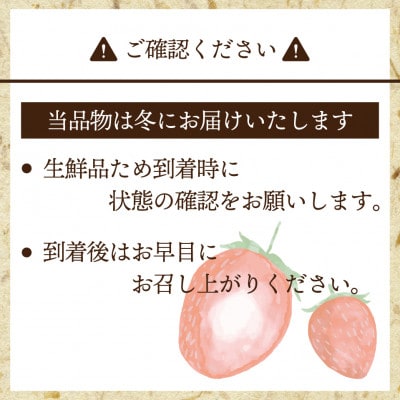 【2025年12月～2026年1月発送】博多あまおう(冬)(250g-270g)×6パック(岡垣町)【配送不可地域：離島・北海道・沖縄県】