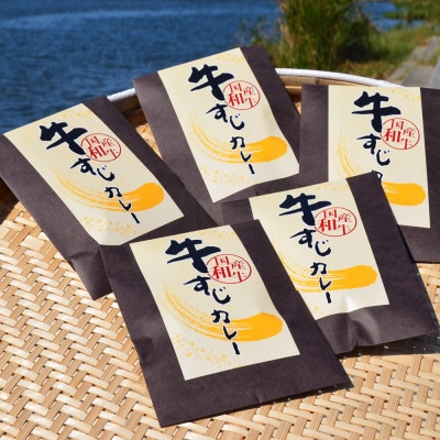 【発送月固定定期便】ゴロッ!と入ったコラーゲン牛すじカレー5食セット(岡垣町)全3回