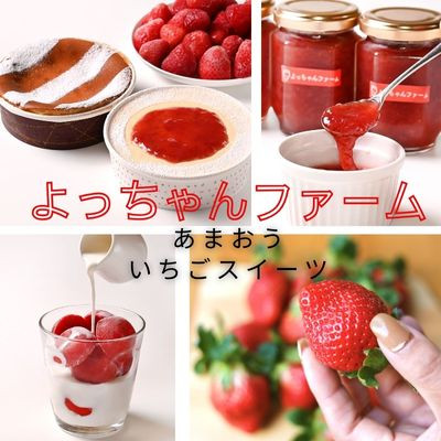 【あまおうグランデサイズ】3玉～15玉(4パック)【1月より順次発送】(岡垣町)【配送不可地域：離島】