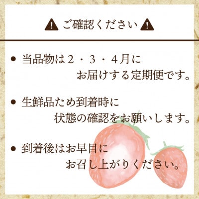 【発送月固定定期便】博多あまおう(250g-270g)×2P (岡垣町)全3回【配送不可地域：離島・北海道・沖縄県】