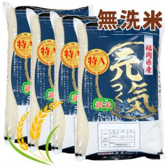【令和7年産】福岡県産ブランド米「元気つくし」無洗米20kg(岡垣町)