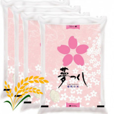 【令和7年産】福岡県産ブランド米「夢つくし」白米　計20kg(岡垣町)