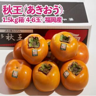 福岡産ブランド柿・秋王4-6玉(約1.5kg)(岡垣町)【配送不可地域：離島】