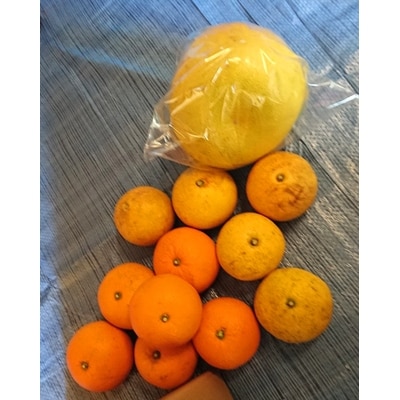 【訳あり】ご家庭用柑橘類みかん6kg～7kg入り