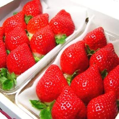 【先行受付】KINGあまおう大粒DX　福岡県岡垣町産　1,080g(270g×4パック)【配送不可地域：離島】