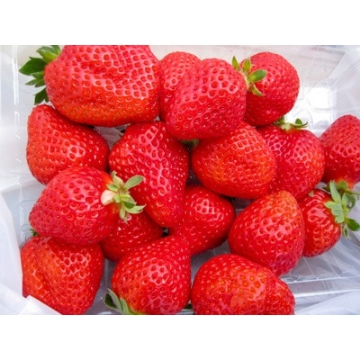 【先行受付】KINGあまおう 福岡県岡垣町産 1,320g(220g×6パック)【配送不可地域：離島】