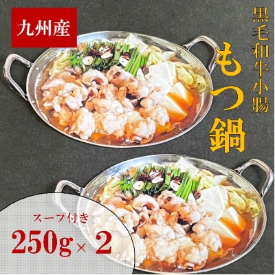 【500g】九州産ぷりぷりの小腸「割烹　もつ鍋セット」(250g×2セット)(岡垣町)【配送不可地域：離島】
