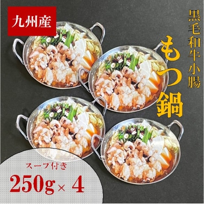【1kg】九州産ぷりぷりぷりの小腸「割烹　もつ鍋セット」(250g×4セット)(岡垣町)【配送不可地域：離島】