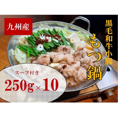【2.5kg】九州産ぷりぷりの小腸「割烹　もつ鍋セット」(250g×10セット)(岡垣町)【配送不可地域：離島】