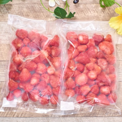 【2026年4月以降順次発送】福岡産冷凍あまおう500g×2袋(岡垣町)【配送不可地域：離島】