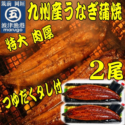 肉厚九州産うなぎ蒲焼2尾つゆだくタレ付 老舗鮮魚店秘伝の味(岡垣町)【配送不可地域：離島】