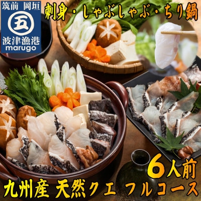 九州の高級魚　天然あら(クエ)フルコース6人前 刺身、しゃぶしゃぶ、ちり鍋。〆は米粉麺(岡垣町)【配送不可地域：離島】