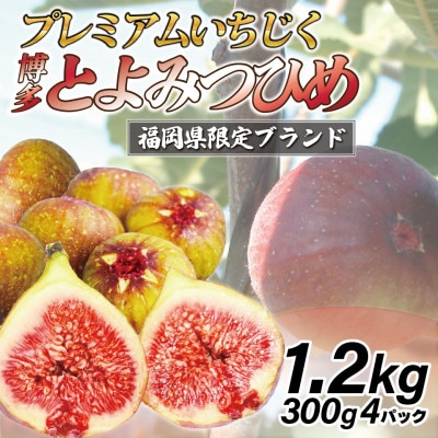 福岡県ブランドいちじく「博多とよみつひめ」4パック(約300g×4パック)(岡垣町)【配送不可地域：離島・北海道・沖縄県・東北】
