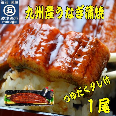 九州産うなぎ蒲焼1尾 秘伝つゆだくタレ付 老舗鮮魚店の味(岡垣町)【配送不可地域：離島】