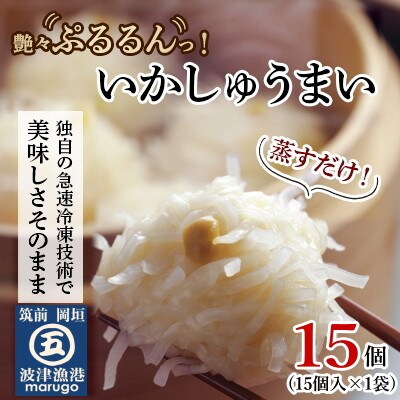 いかしゅうまい(15個)ツヤツヤぷるるんっ。(岡垣町)【配送不可地域：離島】