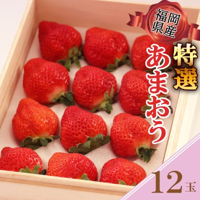 福岡県産【2024年12月下旬より順次発送予定】特選あまおう 12玉(岡垣町)【配送不可地域：離島】