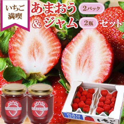 【2025年1月より順次発送予定】いちご満喫 あまおう2パック＆あまおうジャム2瓶のセット(岡垣町)【配送不可地域：離島】