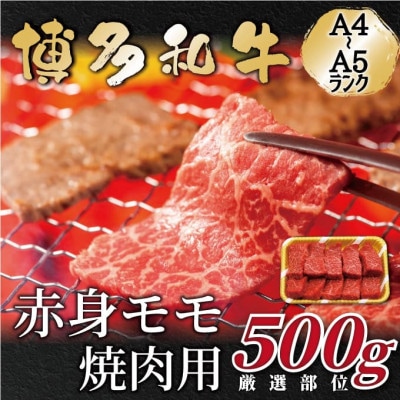 【A4～A5】博多和牛赤身モモ焼肉用　500g(岡垣町)【配送不可地域：離島】