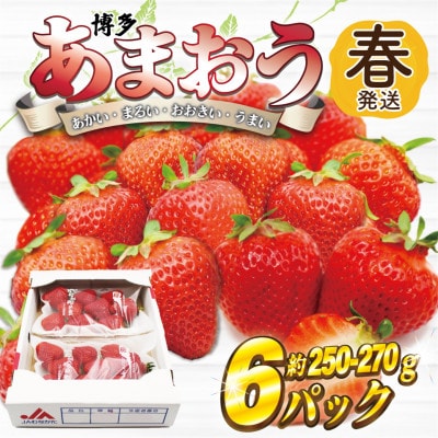 【2026年2月上旬～4月下旬発送】博多あまおう(春) (250g-270g)×6パック(岡垣町)【配送不可地域：離島・北海道・沖縄県】