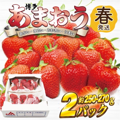 【2026年2月上旬～4月下旬発送予定】博多あまおう(春)(250g-270g)×2パック(岡垣町)【配送不可地域：離島・北海道・沖縄県】