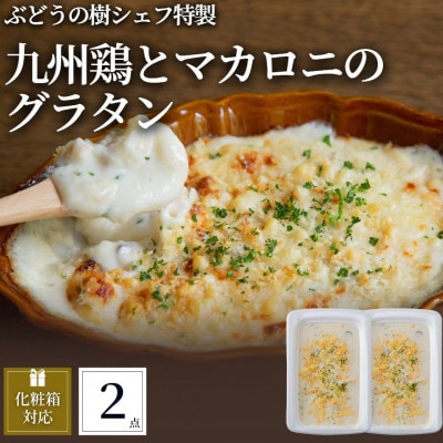 ぶどうの樹 九州鶏ときのこのマカロニグラタン2個セット【配送不可地域：離島】