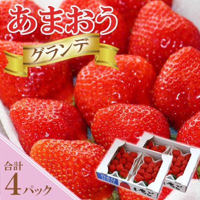 【あまおうグランデサイズ】3玉～15玉(4パック)【1月より順次発送】(岡垣町)【配送不可地域：離島】