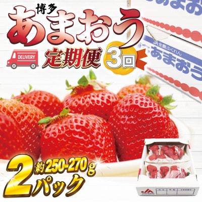 【発送月固定定期便】博多あまおう(250g-270g)×2P (岡垣町)全3回【配送不可地域：離島・北海道・沖縄県】