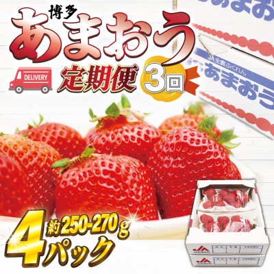 【発送月固定定期便】博多あまおう(250g-270g)×4P(岡垣町)全3回【配送不可地域：離島・北海道・沖縄県】