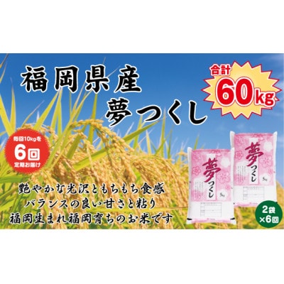 【発送月固定定期便】【食味鑑定士厳選】福岡県産 夢つくし10kg(5kg×2袋)(岡垣町)全6回