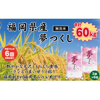 【毎月定期便】《無洗米》【食味鑑定士厳選】福岡県産 夢つくし10kg(5kg×2袋)(岡垣町)全6回