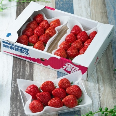 [2026年発送先行受付]春にお届け!福岡産はるあまおう3パック(岡垣町)[配送不可地域:離島]