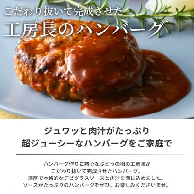 ぶどうの樹の自家製デミグラスハンバーグ(5個)セット[冷凍][配送不可地域:離島]