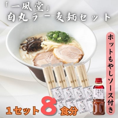 ラー麦使用「一風堂」とんこつラーメン 白丸(8食)[ホットもやしソース付き](岡垣町)