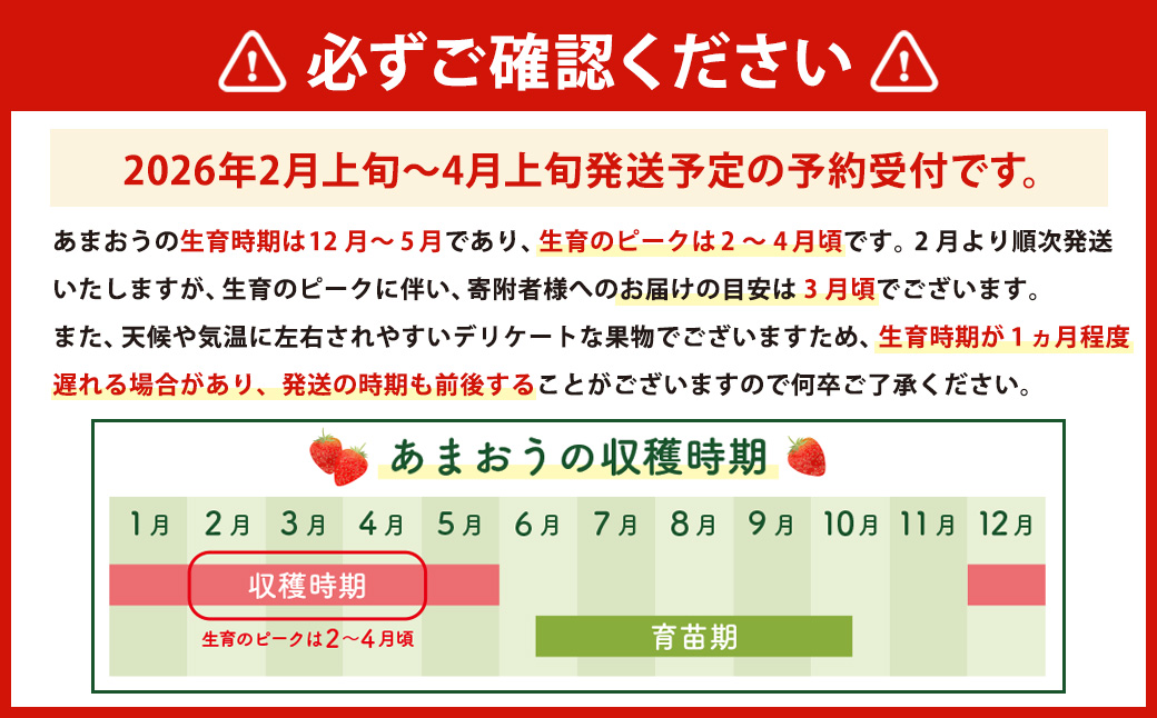 数量限定 福岡県産 あまおう 270g×4パック【2026年2月上旬～4月上旬発送予定】