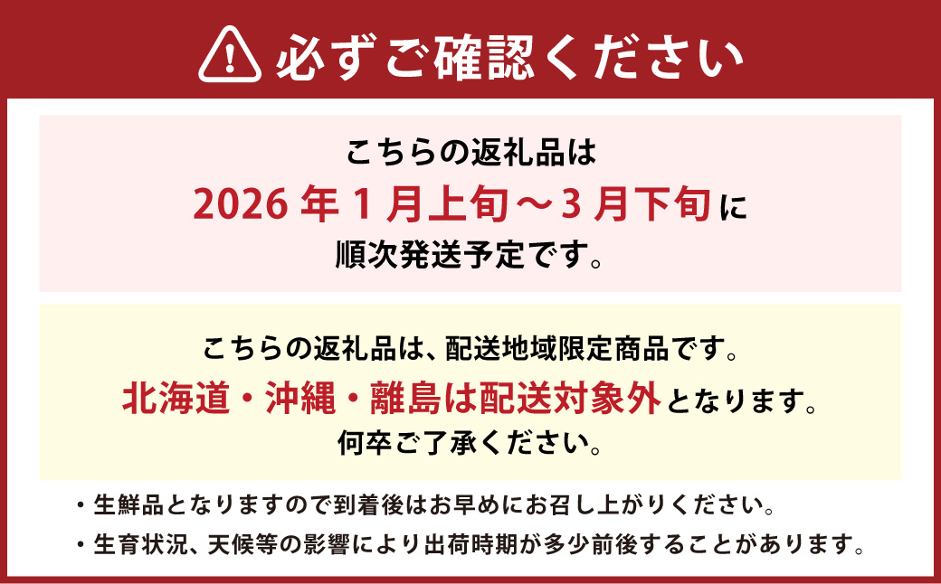 福岡県産 あまおう