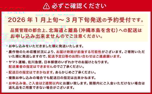ギフト配送 福岡県産あまおう EX 約450g×2パック 〈特別栽培〉