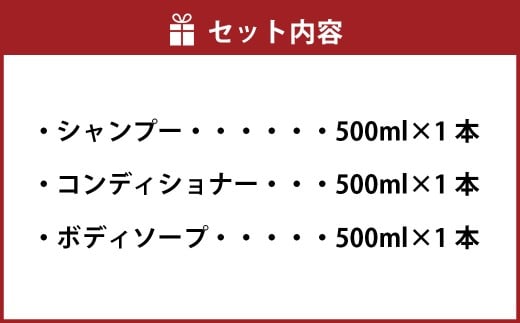 炭 シャンプー コンディショナー ボディソープ 3本 セット 日本製 ノンシリコンシャンプー 液体石鹸 お風呂 バス用品 バスタイム 日用品