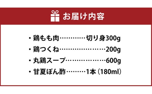 むなかた鶏使用 水炊き2人前 計1.1kg 鶏肉 鶏もも肉 鶏つくね お肉 丸鶏スープ 甘夏ぽん酢（180ml）