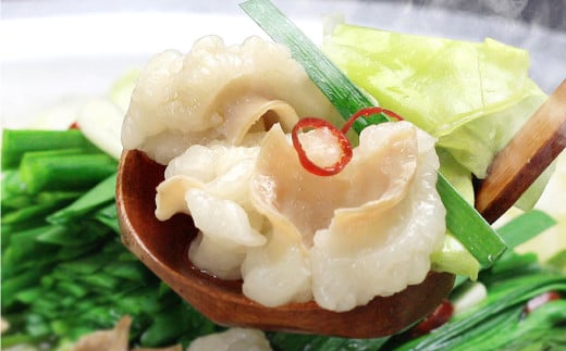 博多もつ鍋セット（九州味噌仕立て） 4～6人前 国産 牛もつ 600g 鍋 モツ鍋 鍋セット モツ もつ 味噌 味噌味 牛肉 ちゃんぽん麺 福岡 国産 冷凍