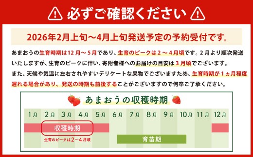 【数量限定】 福岡県産 あまおう 270g × 2パック 【2026年2月上旬～4月上旬発送予定】 苺 イチゴ いちご 果物 フルーツ 果実 国産 アフター保証 アフター対応 福岡県 遠賀町 冷蔵