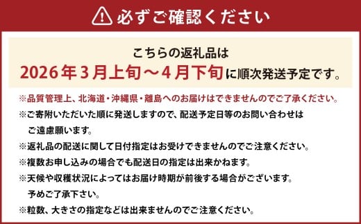 春のあまおう 2L・2A・G規格以上 約250～270g×4パック あまおう いちご イチゴ 苺 果物 くだもの フルーツ【2026年3月上旬～4月下旬発送予定】