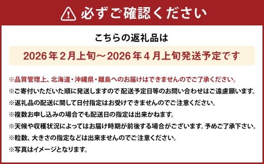 化粧箱入りプレミアムあまおう 約400g × 1パック 【ギフト・お祝い・贈答用】 【2026年2月上旬～4月上旬発送予定】 あまおう いちご イチゴ 苺 果物 くだもの フルーツ 福岡県産 国産 福岡県 遠賀町 冷蔵
