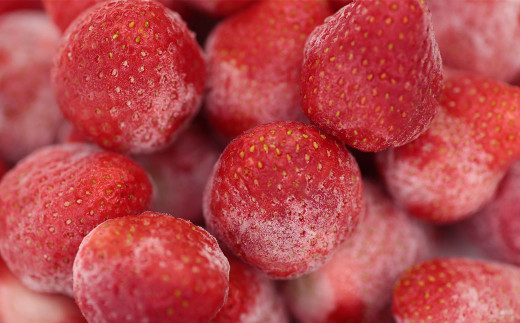 冷凍あまおう 約1.5kg 冷凍フルーツ いちご