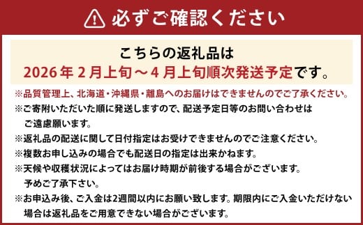 ティッシュボックス用 特別仕様の桐箱入り プレミアム あまおう 約400g×1パック あまおう いちご イチゴ 苺 果物 くだもの フルーツギフト お祝い 贈答用【2026年2月上旬～4月上旬発送予定】
