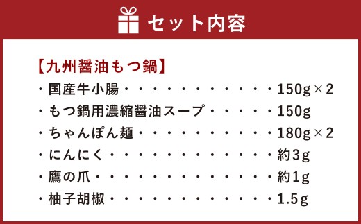 【博多鍋セット2】博多の人気2大鍋のセット「九州醤油もつ鍋」と「博多水炊き（切り身）」計4～6人前 国産 モツ 醤油 水炊き 鶏肉 牛モツ 鍋