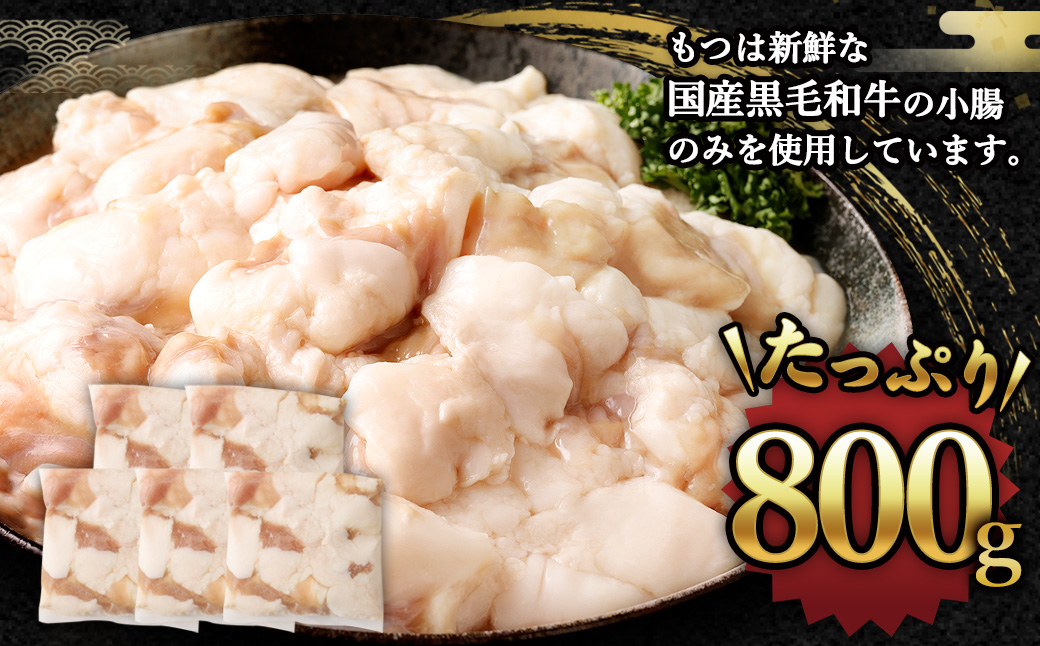 国産もつ鍋 8人前 冷凍ちゃんぽん・濃縮スープ付き（醤油味）